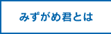 みずがめ君とは